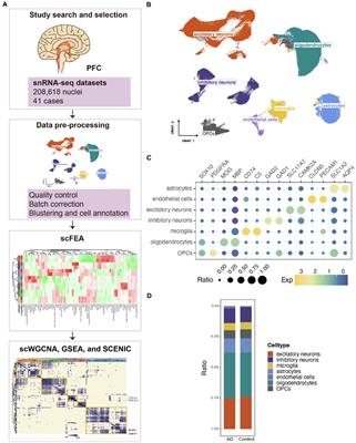 Single-nucleus transcriptional profiling uncovers the reprogrammed metabolism of astrocytes in Alzheimer’s disease